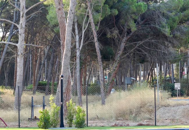 Apartamento en Pals - EL VAIXELL Apartamento en Pals - EL VAIXELL
