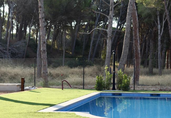 Apartamento en Pals - EL VAIXELL Apartamento en Pals - EL VAIXELL