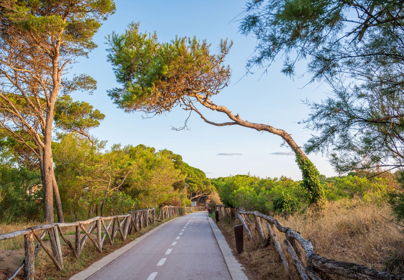 Caminos para ir a la playa en bicicleta o incluso a pie.