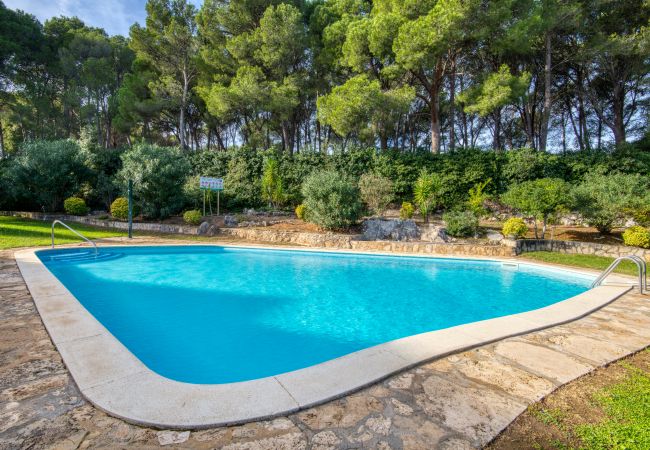 Apartamento en L'Escala - TREBOL Apartamento en L'Escala - TREBOL