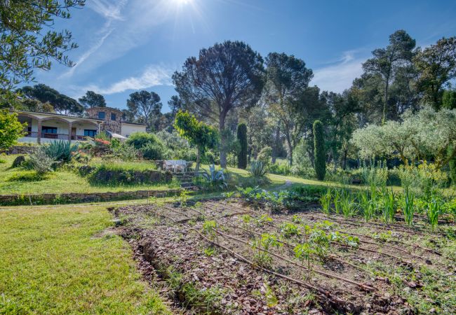 Casa en Pals - MT264 Casa en Pals - MT264