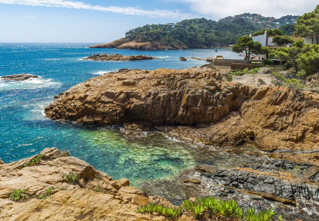 Ferienhaus in Pals - P37 VILLA Ferienhaus in Pals - P37 VILLA