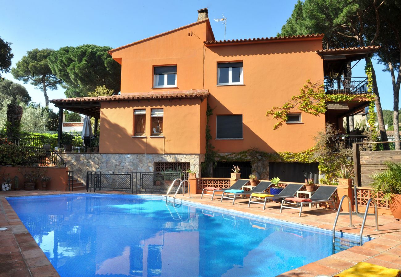 Tourist rental housing with swimming pool