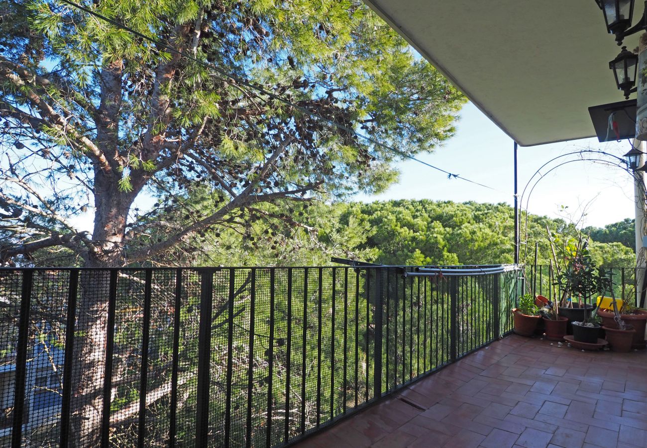Apartamento en Escala - PINASSA